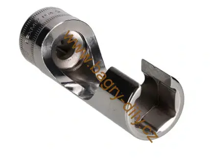 Gola hlavice 17