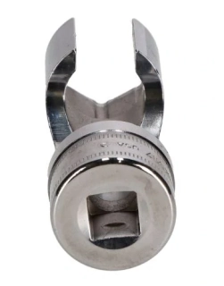 Gola hlavice 17